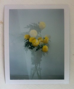 Stunning double exposure created by Rebekah Rivett during a Creative Polaroids workshop