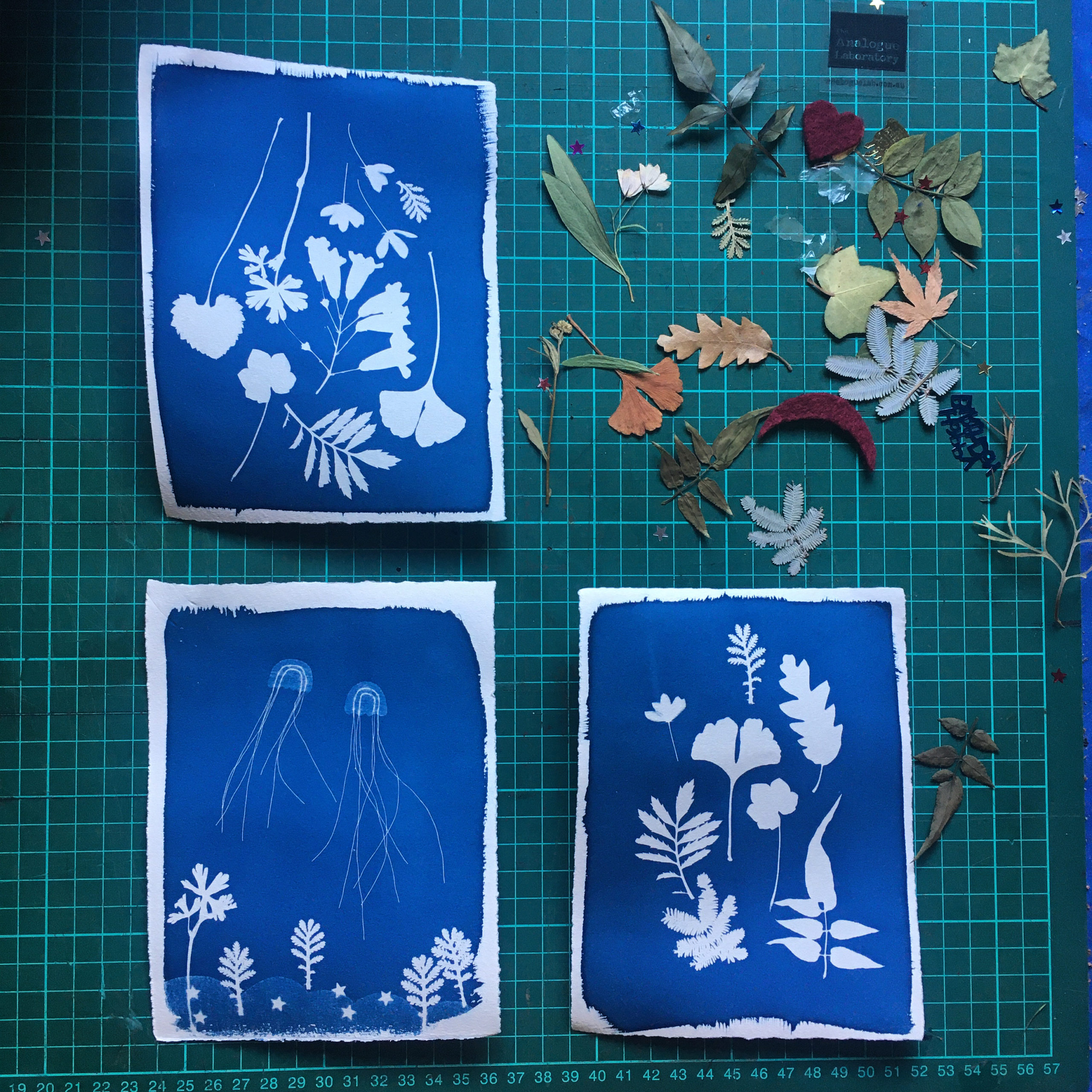 Pre-coating Cyanotype – Can it be done? – The Analogue Laboratory