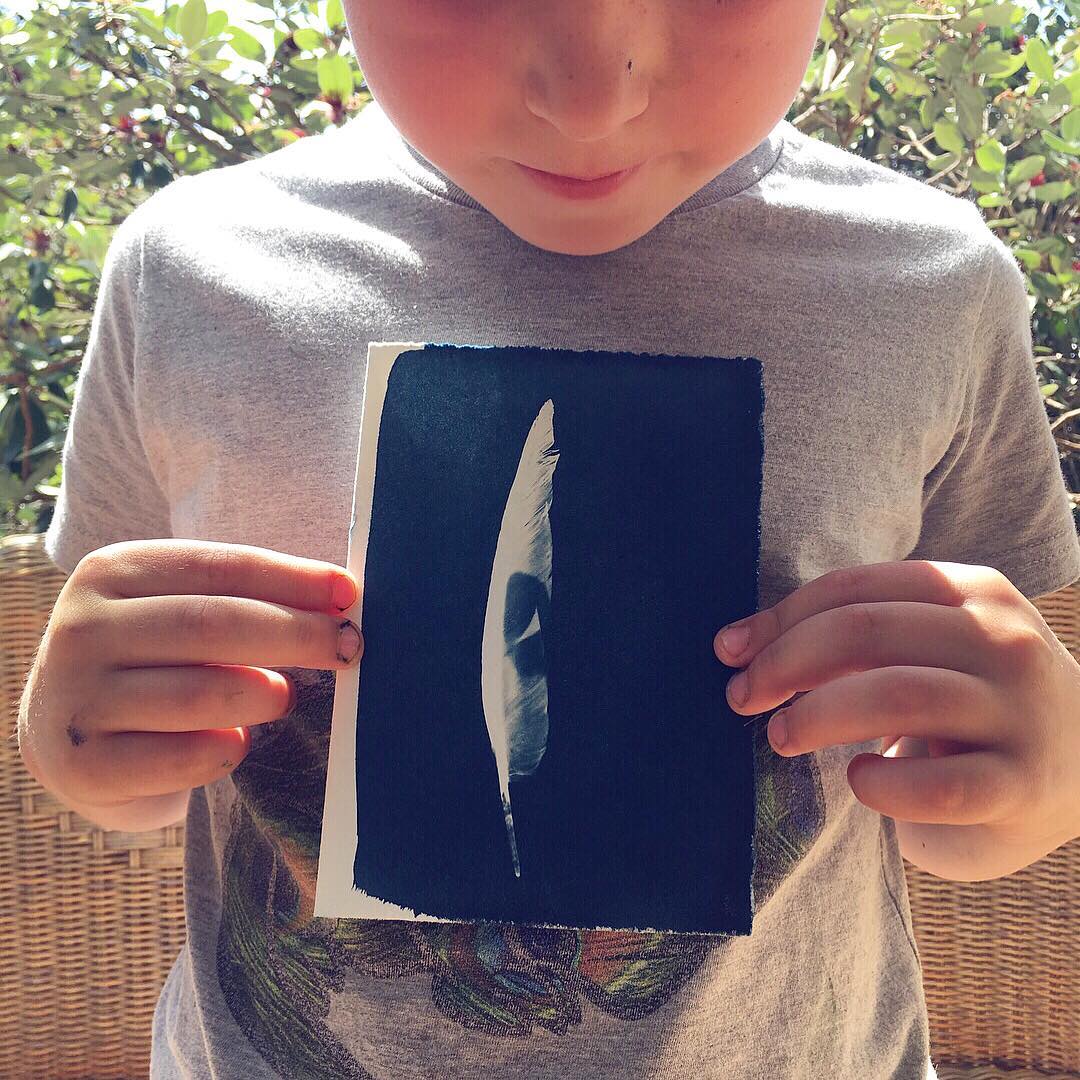 Hey Friends! Fancy a little Cyanotype magic this weekend? We will be hanging out at @southaustralianmuseum for their Nature Photographer of the year closing weekend festivities. This will be your last chance to see the exhibition, and as a bonus you can come make things with us! 💙 For free! Saturday & Sunday 10-3, all ages welcome & no bookings required!