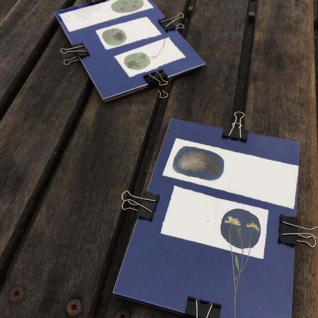 Pre-coating Cyanotype – Can it be done? – The Analogue Laboratory